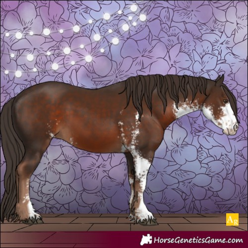 Horse Color:Liver Chestnut Sabino