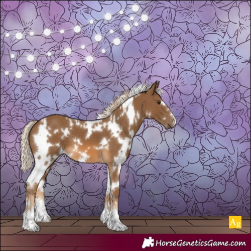 Horse Color:White Spotted Chocolate Palomino