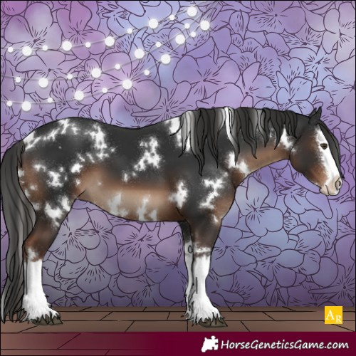 Horse Color:White Spotted Liver Chestnut Splash 