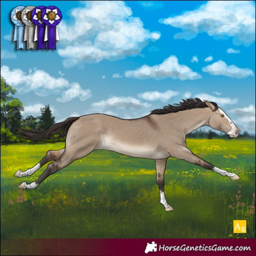 Horse Color:Bay Dun Splash 