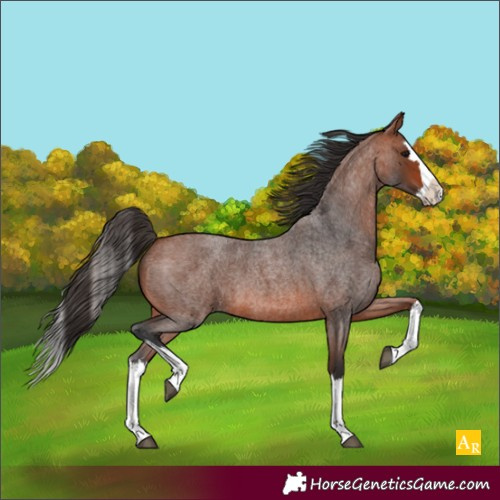 Horse Color:Unknown 