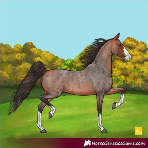 Horse Color:Unknown 