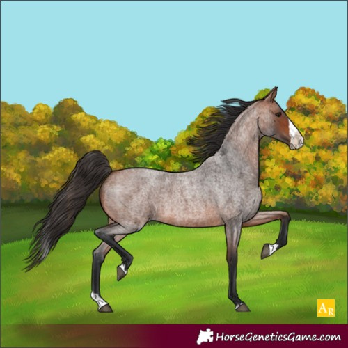 Horse Color:Unknown 