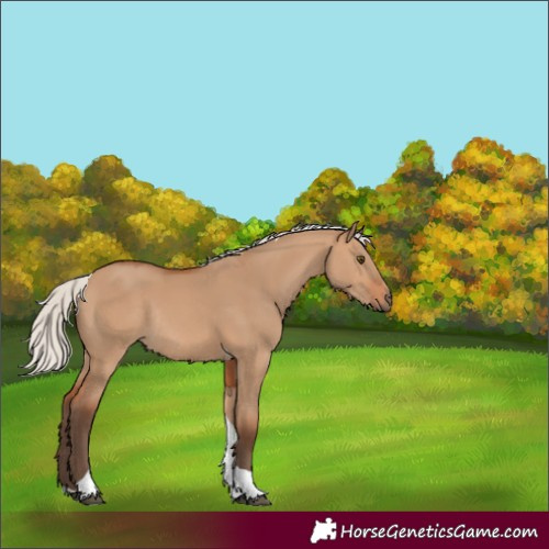 Horse Color:Silver Bay Dun Tobiano Rabicano 