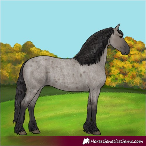 Horse Color:Smoky Grullo Roan 