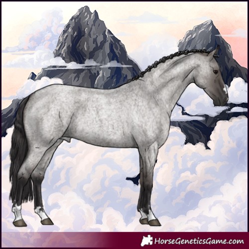Horse Color:Smoky Grullo Roan 