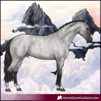 Horse Color:Smoky Grullo Roan 