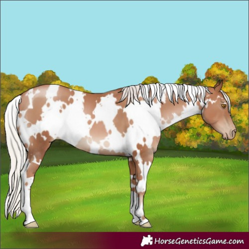 Horse Color:White Spotted Silver Black Pearl 