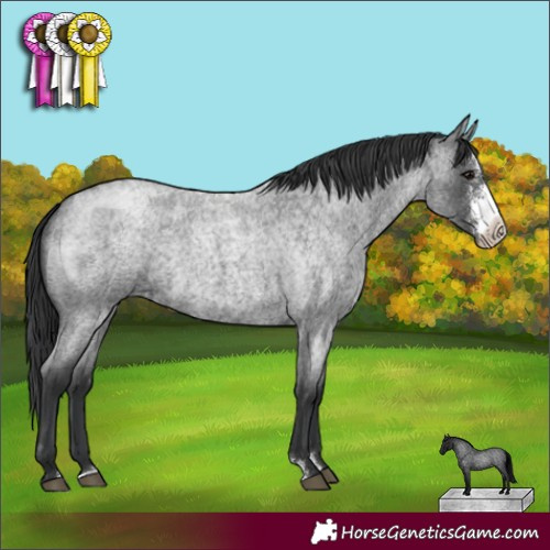 Horse Color:Blue Roan Sabino 