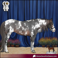 Horse Color:White Spotted Brown Sabino Appaloosa Rabicano