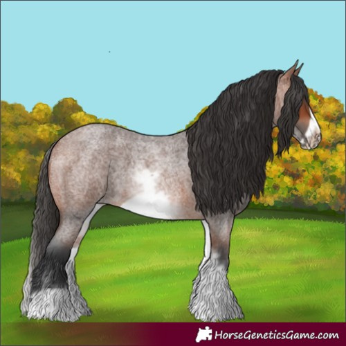 Horse Color:White Spotted Bay Roan Frame 
