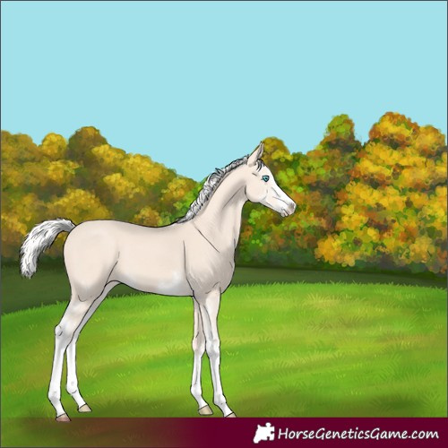 Horse Color:Silver Perlino Sabino 