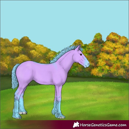 Horse Color:Watercolor Grullo Varnish 
