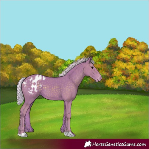 Horse Color:Watercolor Silver Black Blanket 