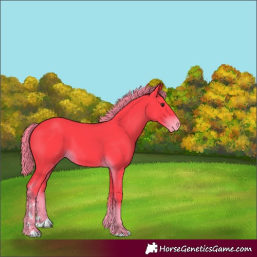 Horse Color:Watercolor Liver Chestnut Varnish