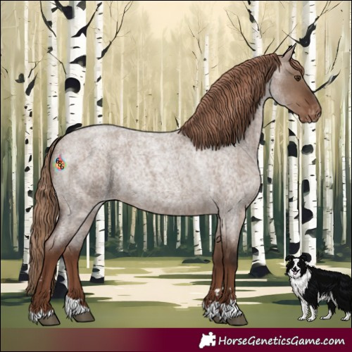 Horse Color:Liver Red Dun Roan Appaloosa Rabicano 