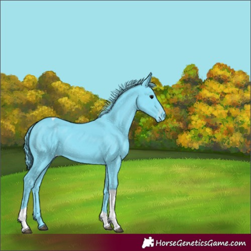 Horse Color:Watercolor Black Tobiano Varnish