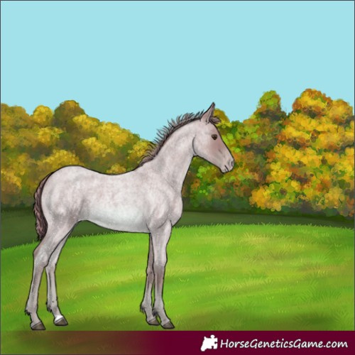 Horse Color:Watercolor Red Roan Varnish