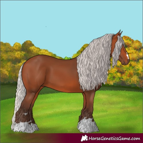 Horse Color:Silver Bay