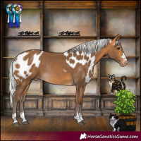 Horse Color:Silver Buckskin Skewed LP Spotted Rabicano