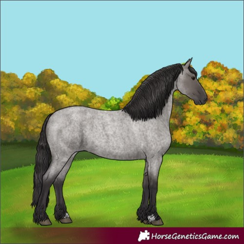 Horse Color:Smoky Grullo Roan 