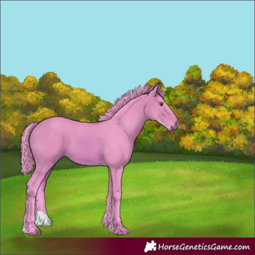 Horse Color:Watercolor Bay 