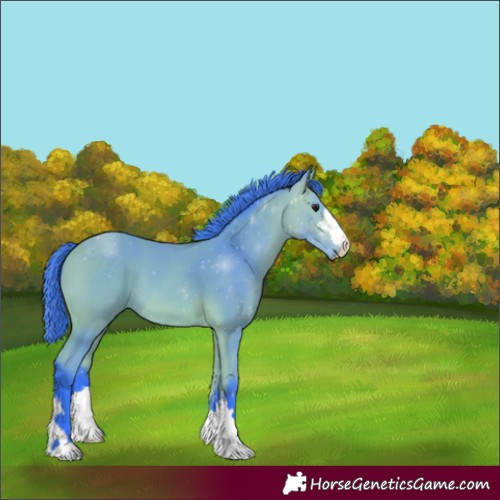 Horse Color:Watercolor Bay
