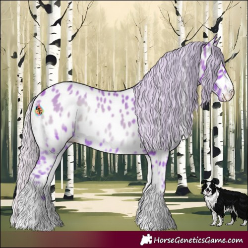 Horse Color:Watercolor Silver Bay Onyx Appaloosa 
