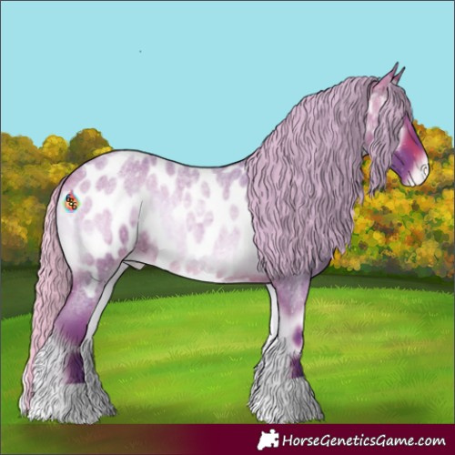 Horse Color:Watercolor Silver Brown Roan Onyx Near Leopard