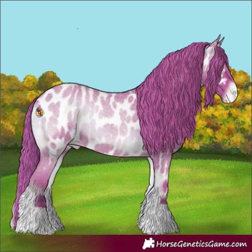 Horse Color:Watercolor Red Onyx Roan Near Leopard 