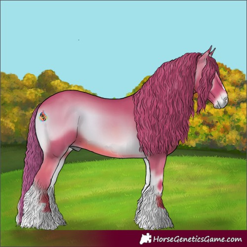 Horse Color:Watercolor Red Onyx 