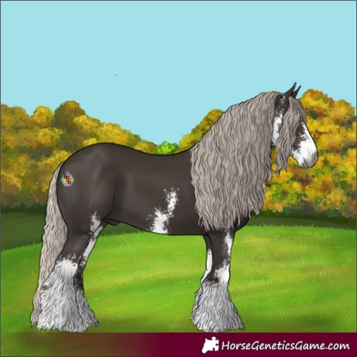 Horse Color:Gray Silver Black Sabino