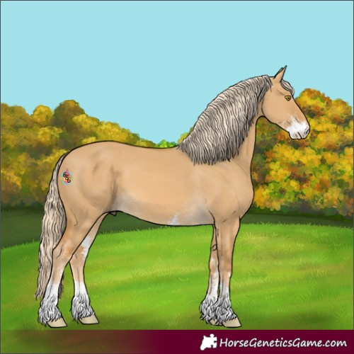Horse Color:Palomino Dun Sabino 