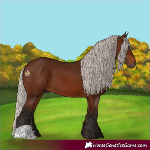 Horse Color:Gray Silver Bay 