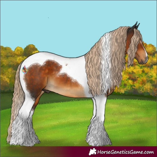 Horse Color:Gray Chocolate Palomino Tobiano