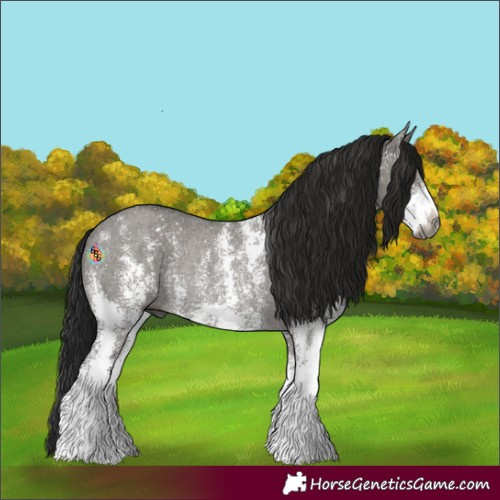 Horse Color:Gray Grullo Sabino Rabicano 