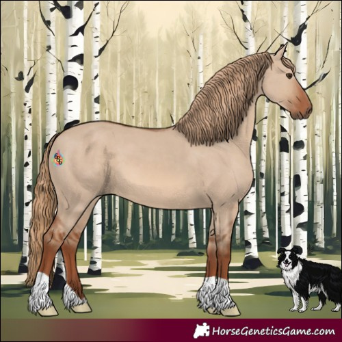 Horse Color:Red Dun