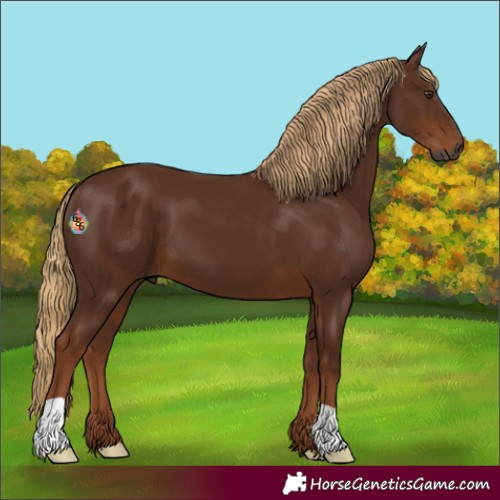 Horse Color:Gray Chestnut