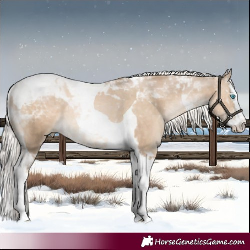 Horse Color:Chocolate Palomino Pearl Splash Tobiano