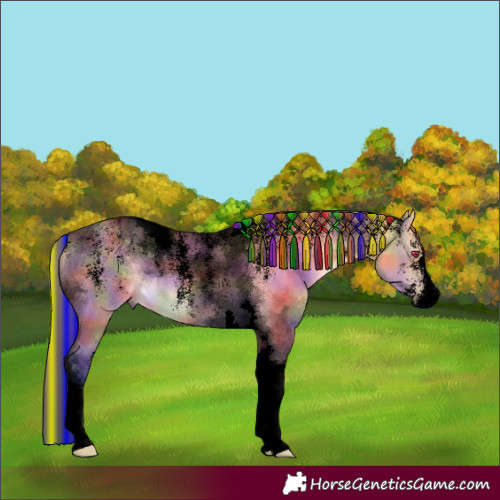 Horse Color:Powder White Void Painted Nacre Buckskin Dun Tobiano 