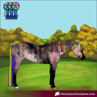 Horse Color:Powder White Void Painted Nacre Buckskin Dun Tobiano 