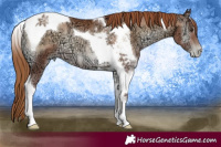 Horse Color:Red Onyx Ice Pearl Tobiano