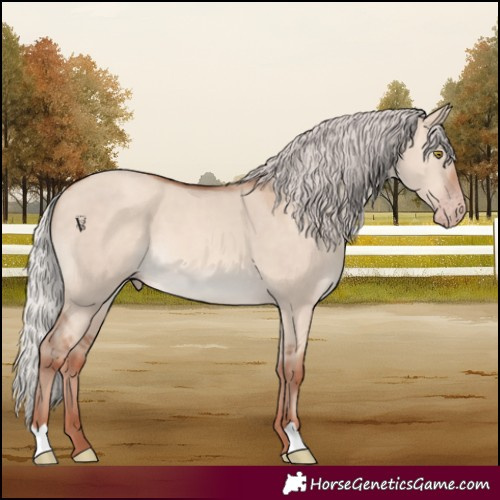 Horse Color:Silver Sable Champagne Dun