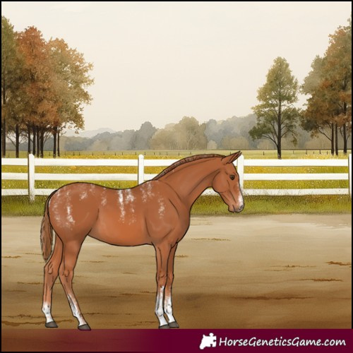 Horse Color:Powder White Chestnut 