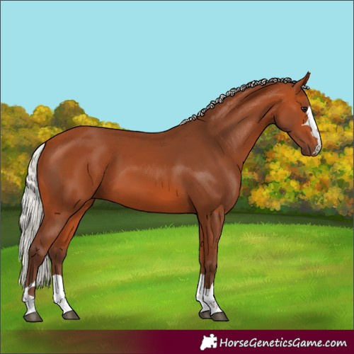 Horse Color:Silver Bay