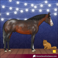 Horse Color:Brown Sabino Rabicano 