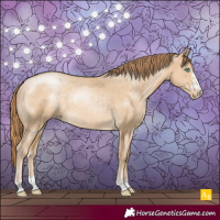 Horse Color:Buckskin Pearl Rabicano