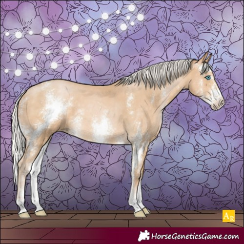 Horse Color:Silver Buckskin Pearl Sabino 