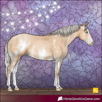 Horse Color:Silver Buckskin Pearl Sabino 