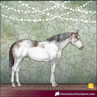 Horse Color:White Spotted Brown Splash Frame 